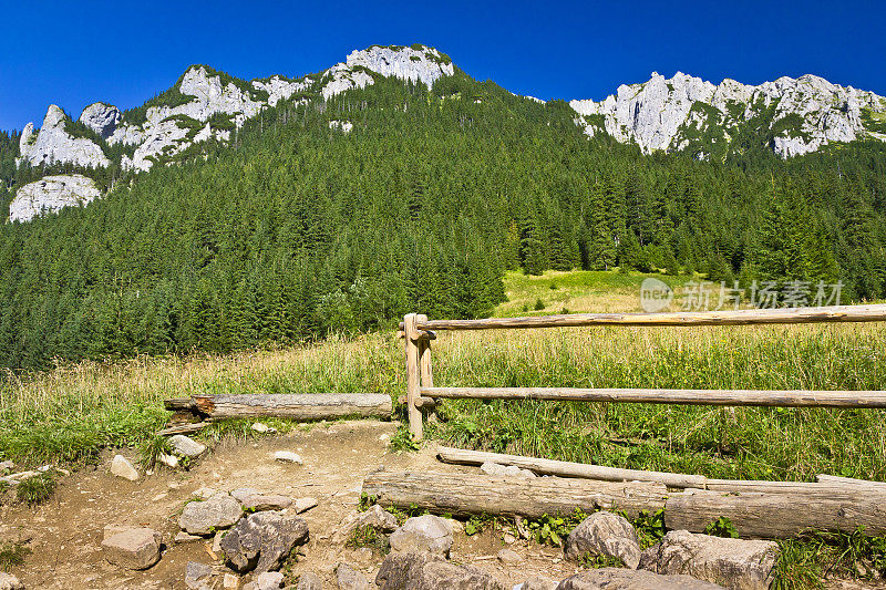 科西里山谷， 塔特拉山